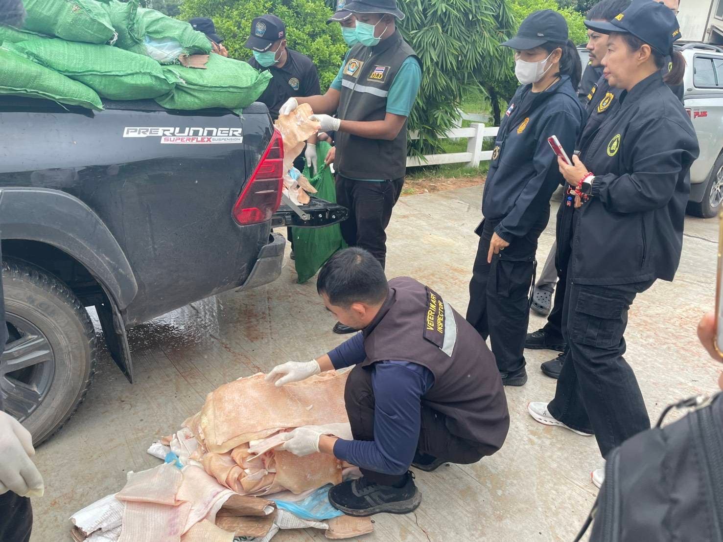 มุกดาหารระทึก! ไล่ล่ากระบะขนหนังหมูเถื่อน 2.5 ตัน ซิ่งแหกด่านพุ่งชนการ์ดเรลหนีไม่รอด