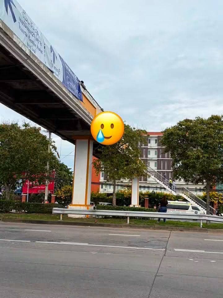 สลดรับอรุณ! ชายวัย 39 ผูกคอดับคาโคนต้นไม้ใต้สะพานลอยหน้าโรงเรียนดังเมืองโคราช นร.-คนใช้รถใช้ถนนตกใจหวั่นเป็นเหตุร้าย